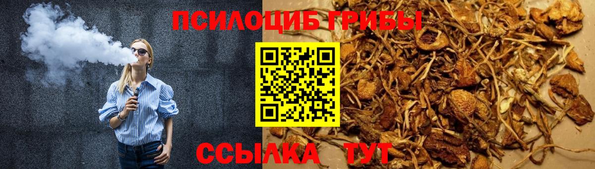 Галлюциногенные грибы GOLDEN TEACHER  Вход с VPN  Конаково  Галлюциногенные грибы Psilocybine cubensis 